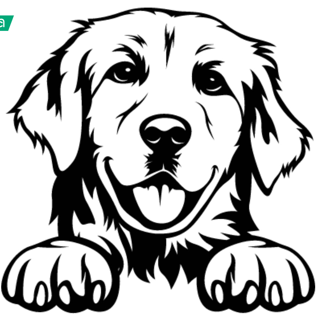 Black and white illustration of a dog with its front paws on a white background