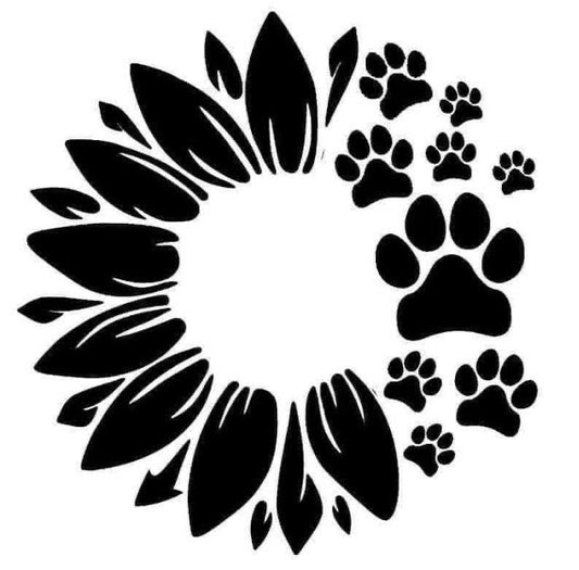 Sunflower With Dog Paws