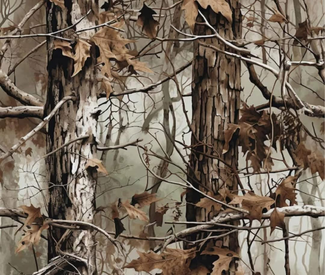 Camouflage pattern on a forest background