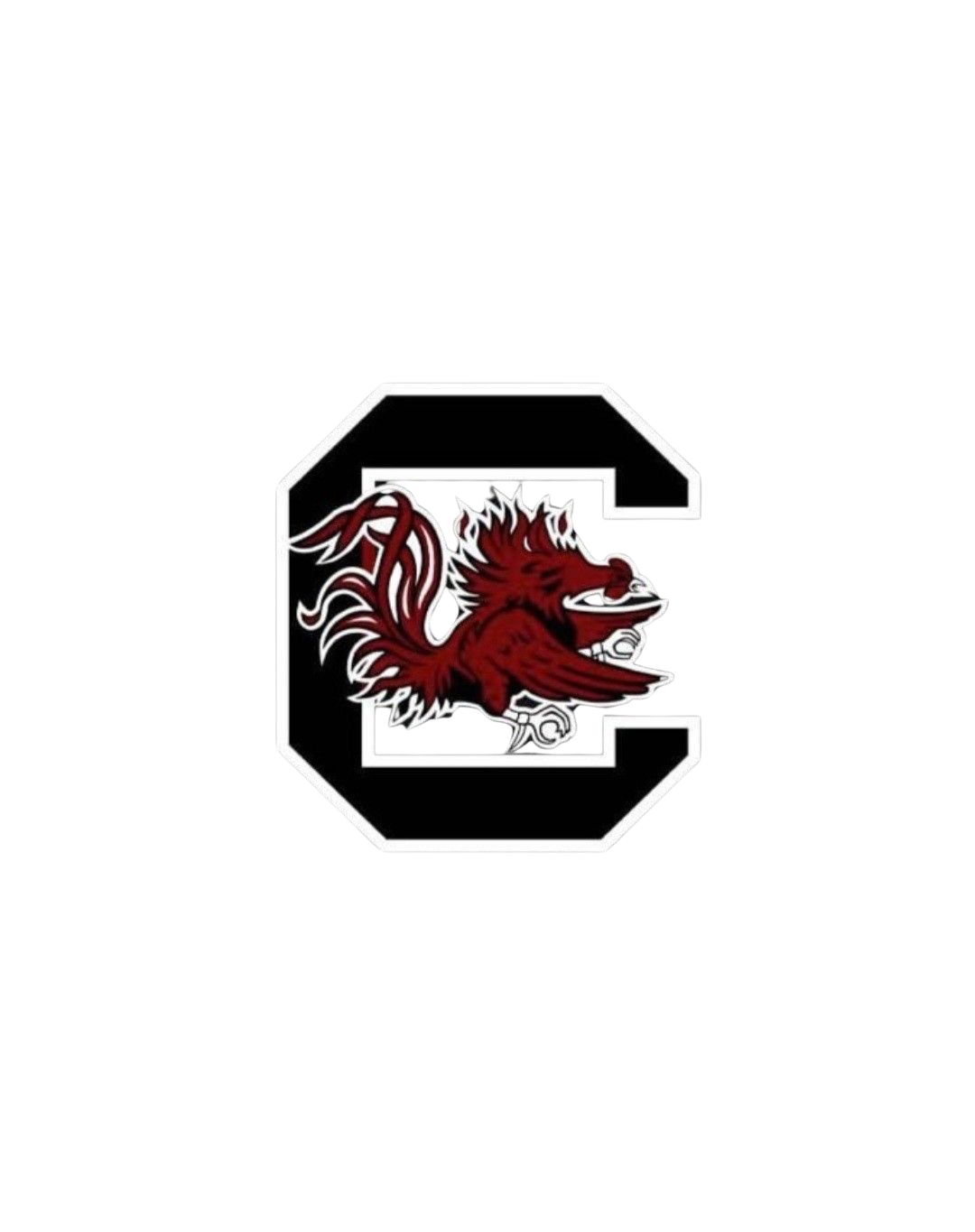 South Carolina Gamecocks