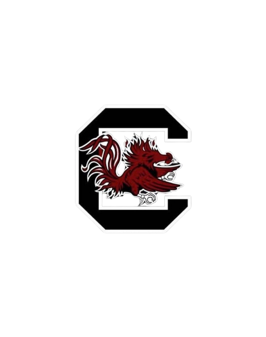 South Carolina Gamecocks